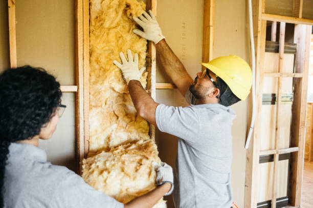 Types of Insulation We Offer in Third Lake, IL